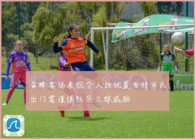 黄蜂客场表现令人担忧夏洛特市民出门需谨慎防范三球威胁